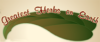 Dottie, Greatest Herbs On Earth logo from Dottie, Greatest Herbs On Earth